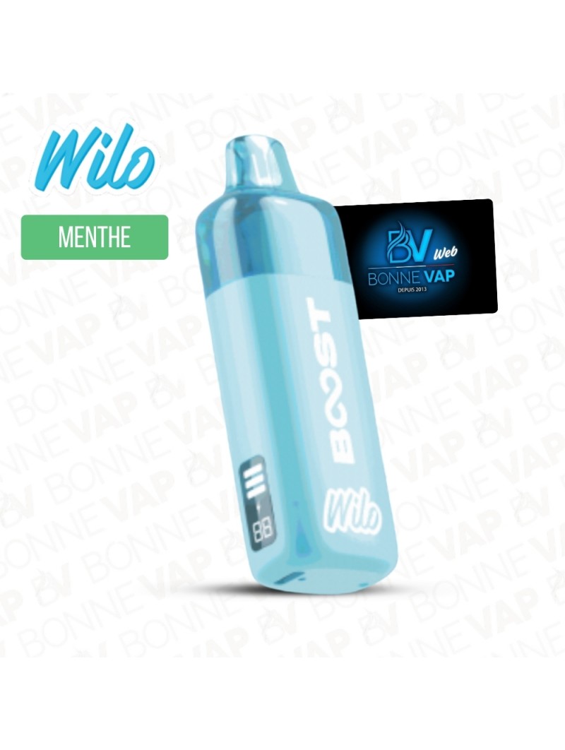 Starter Puff Menthe Fraîche - Wilo Boost