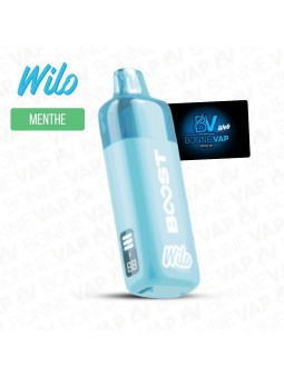 Starter Puff Menthe Fraîche - Wilo Boost