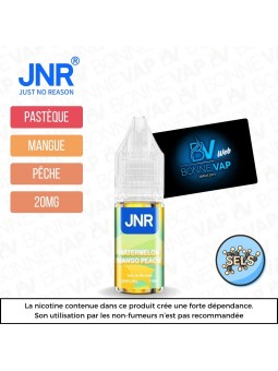 E-liquide Pastèque Mangue Pêche 10ml - JNR