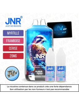 Puff Blueberry Raspberry Cherry - JNR X Falcon - 20mg