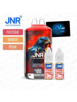 Puff Watermelon Mango Peach - Falcon X JNR