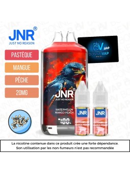 Puff Watermelon Mango Peach - Falcon X JNR - 20mg