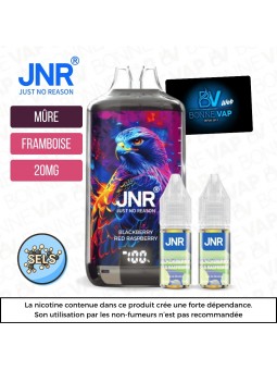 Puff Blackberry Red Raspberry - Falcon X JNR - 20mg