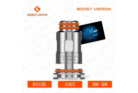 Résistance B Séries Coil - Geekvape - 0.30ohm