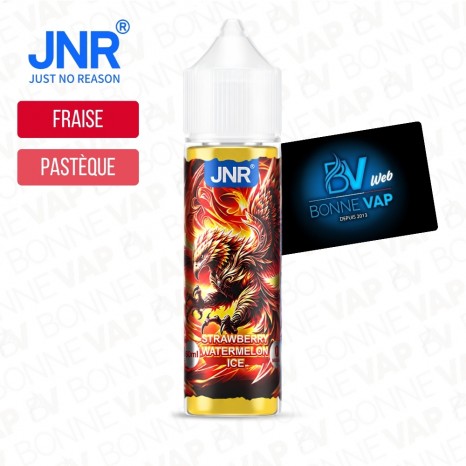 Strawberry Watermelon Ice 50ml - JNR