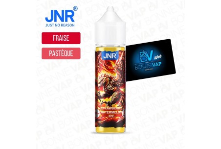 Strawberry Watermelon Ice 50ml - JNR