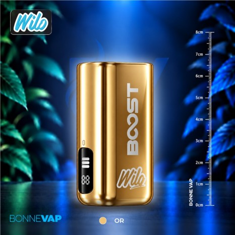 Batterie Boost - Wilo Boost