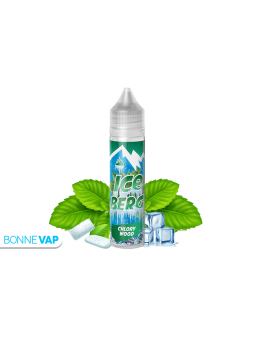 Chlorywood 50ml - Ice Berg