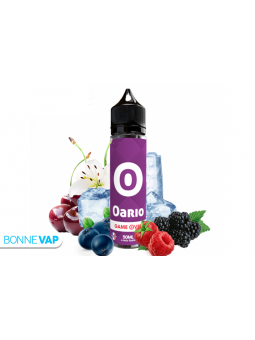 OARIO E-TASTY 50ML