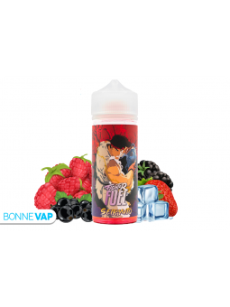 SEIRYUTO FIGHTER FUEL 100ML