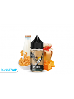 CONCENTRE PEGASE CURIEUX...