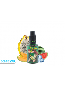 Concentré Shaken 30ml |...