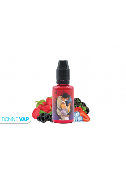 Concentré Seiryuto 30ml |...