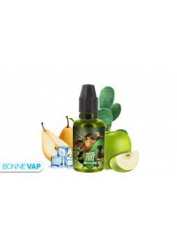 CONCENTRE MINASAWA FIGHTER...