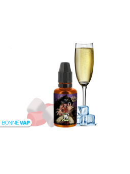 CONCENTRE FREED FIGHTER...